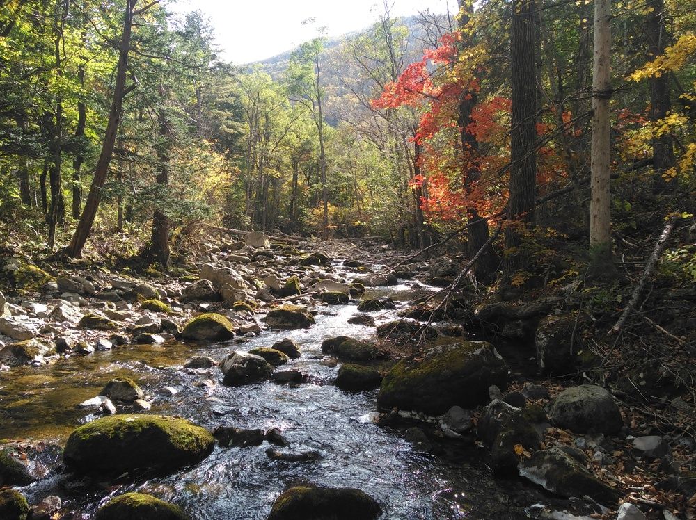 Photograph by Максим Ушаков