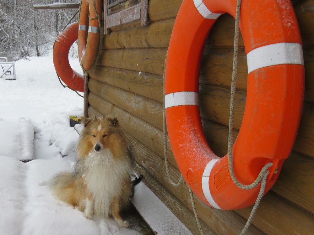 Photograph by Валерия