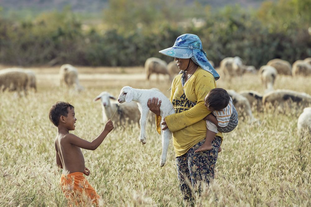 Photograph by NGUYEN HAI