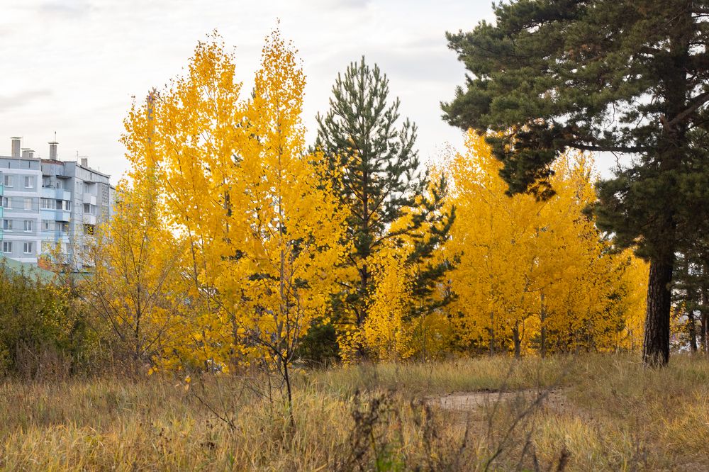 Фотография автора Егор Пешков