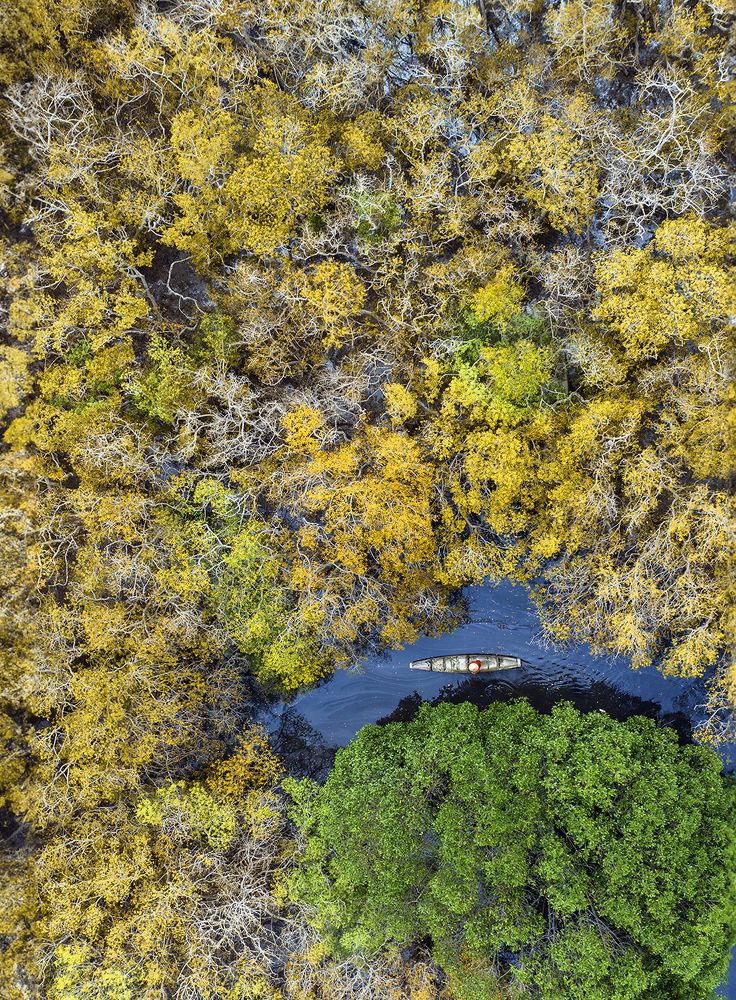 Photograph by NGUYEN HAI