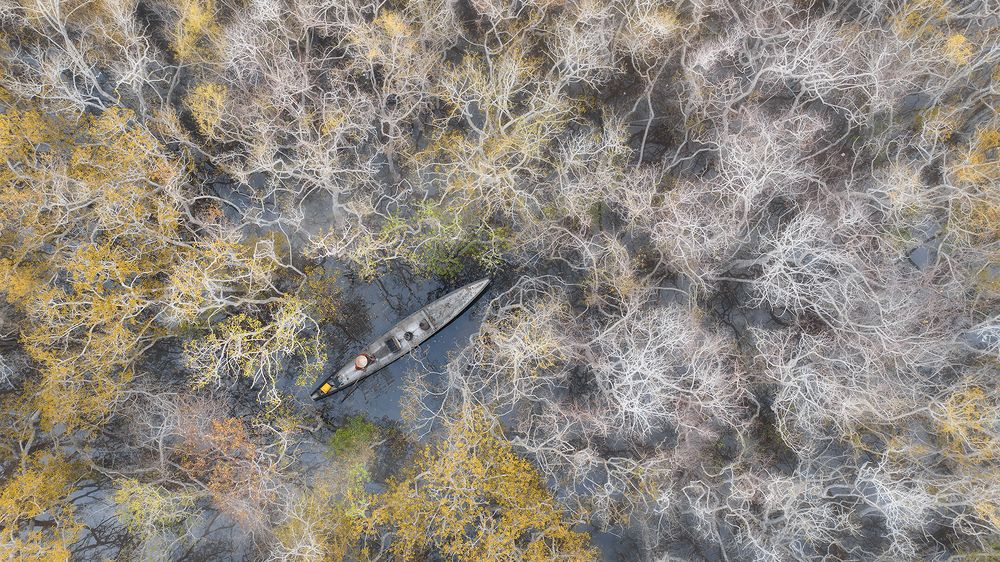 Photograph by NGUYEN HAI