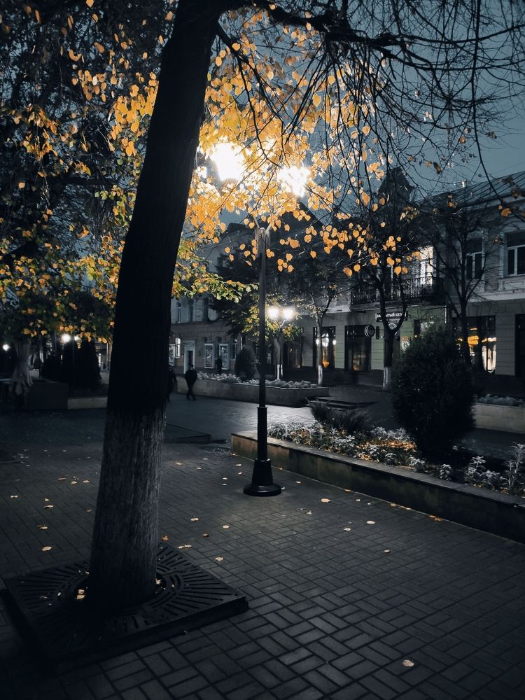 Photograph by Сидорова Ирина