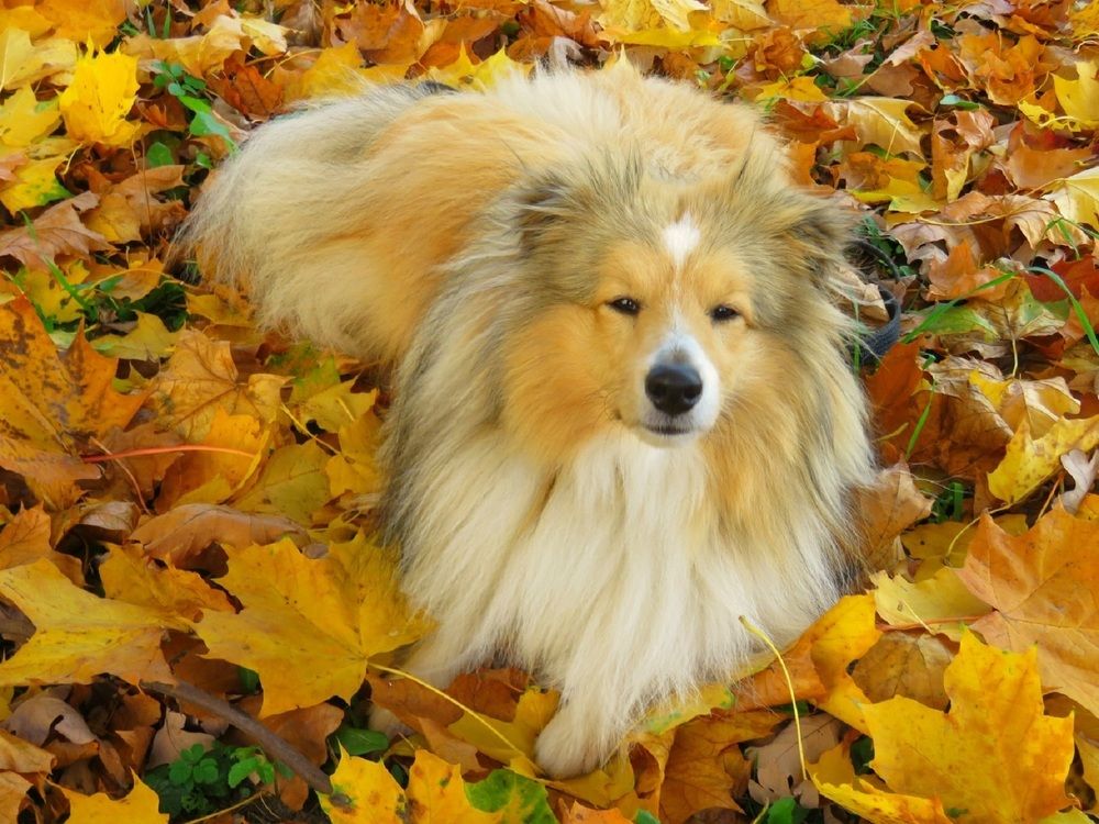 Photograph by Валерия