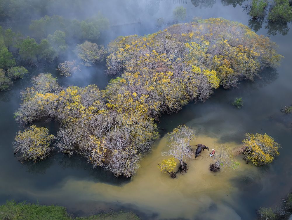 Photograph by NGUYEN HAI