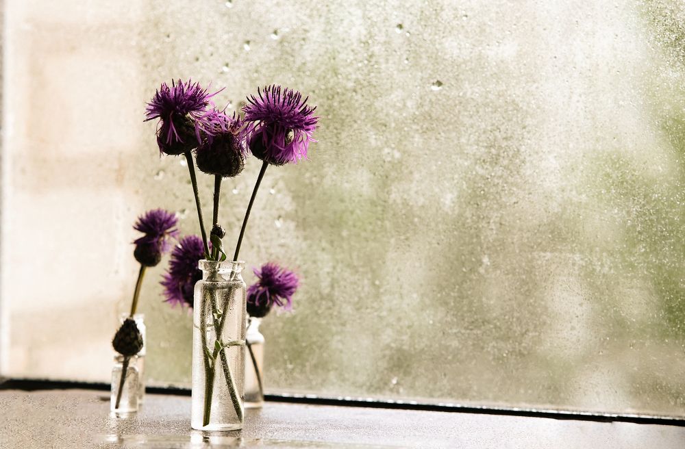 Photograph by Светлана Вербицкая