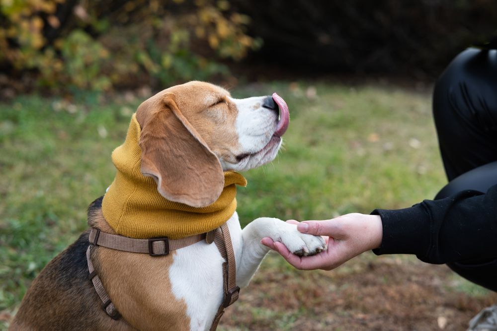 Photograph by Светлана Вербицкая
