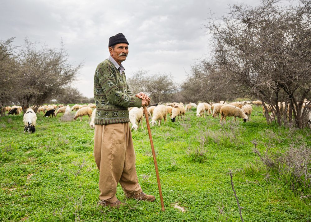 Фотография автора Ebrahim Rahiminezhad