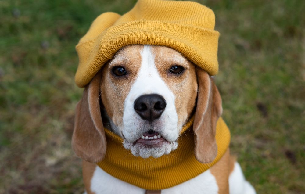 Photograph by Светлана Вербицкая