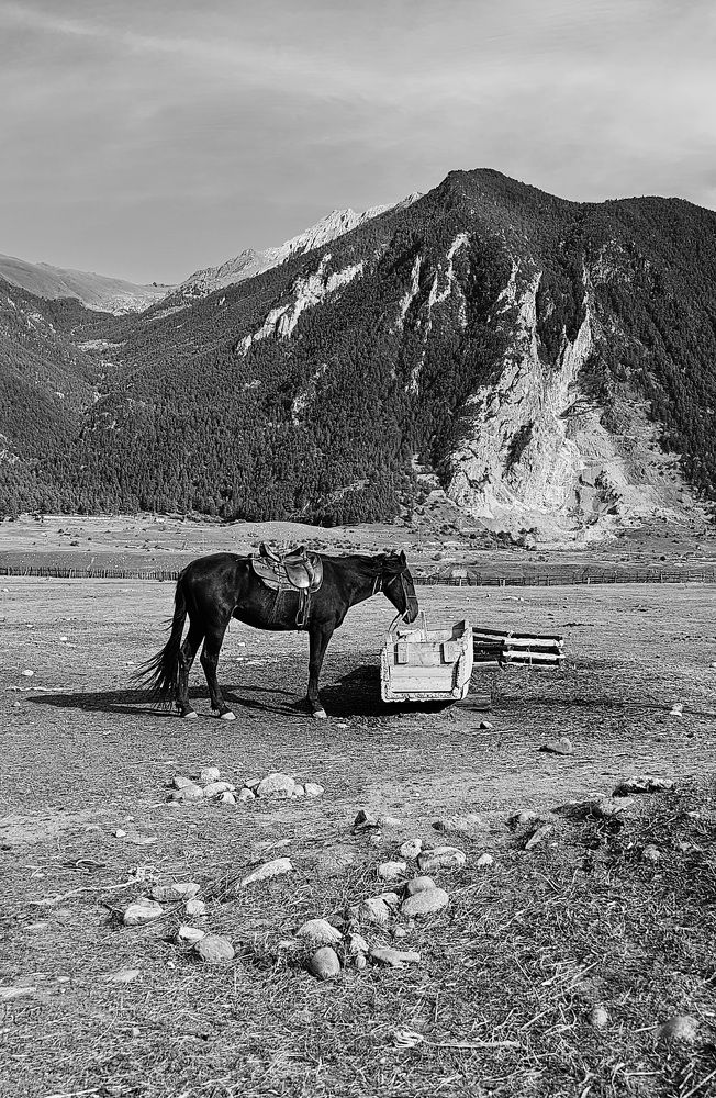 Photograph by Елена Мазуренко