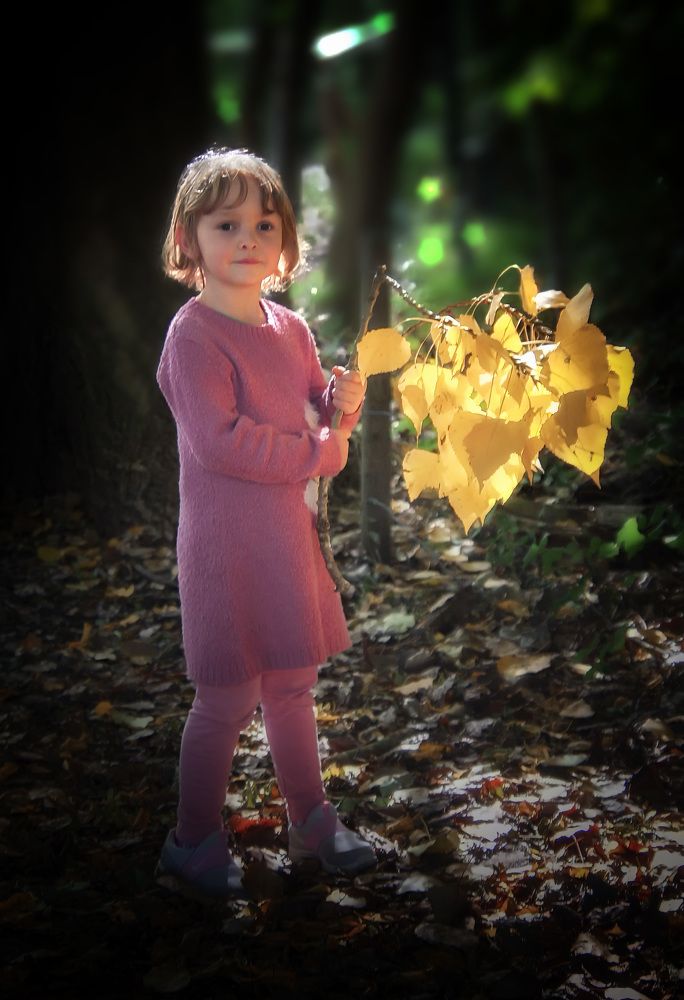 Фотография автора Александр