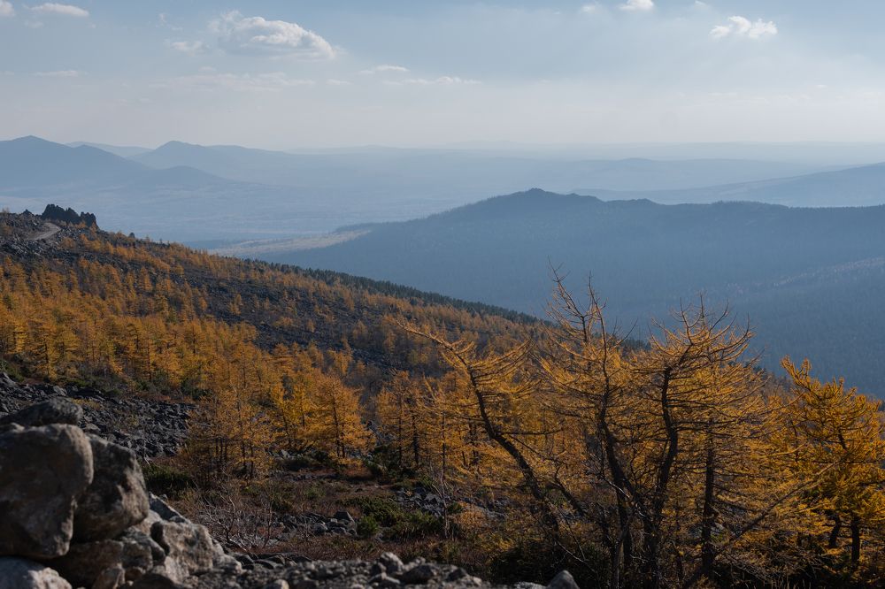 Photograph by Людмила Зяблова