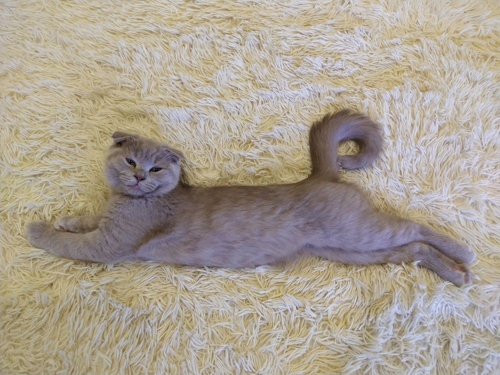 Photograph by Елена Силантьева