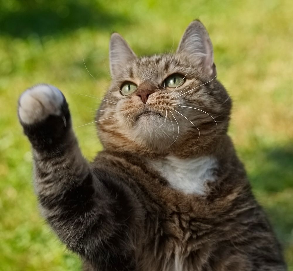 Photograph by Лидия Ушакова