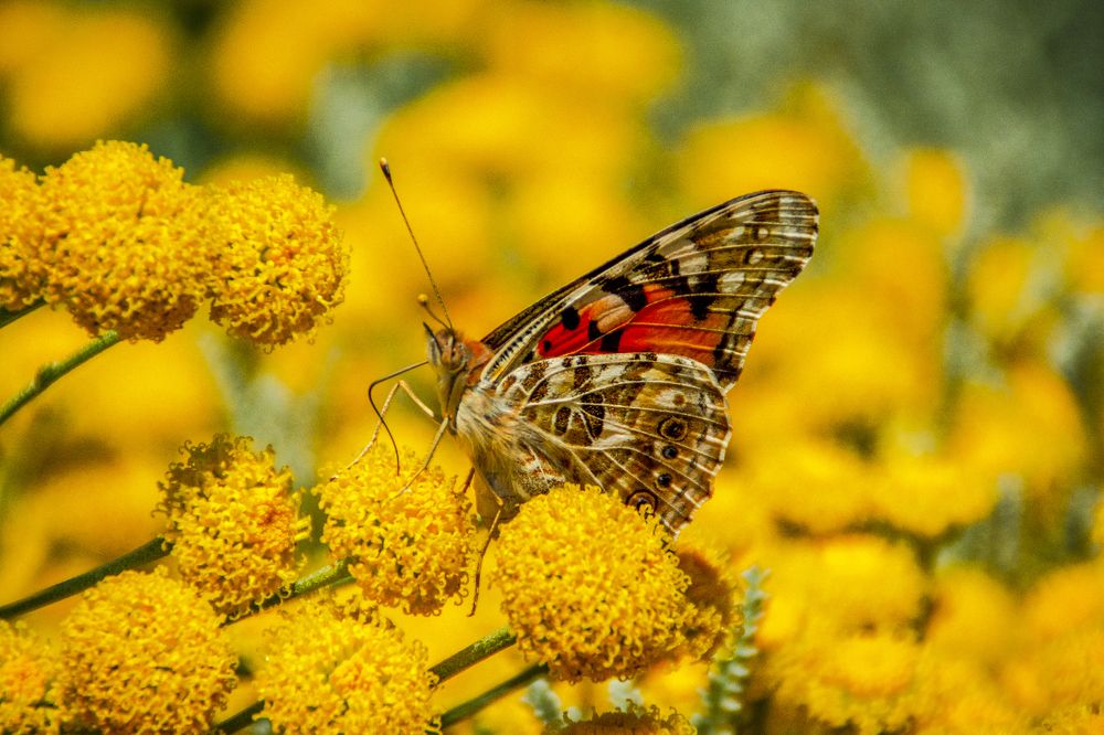 Photograph by Марина Канавченко