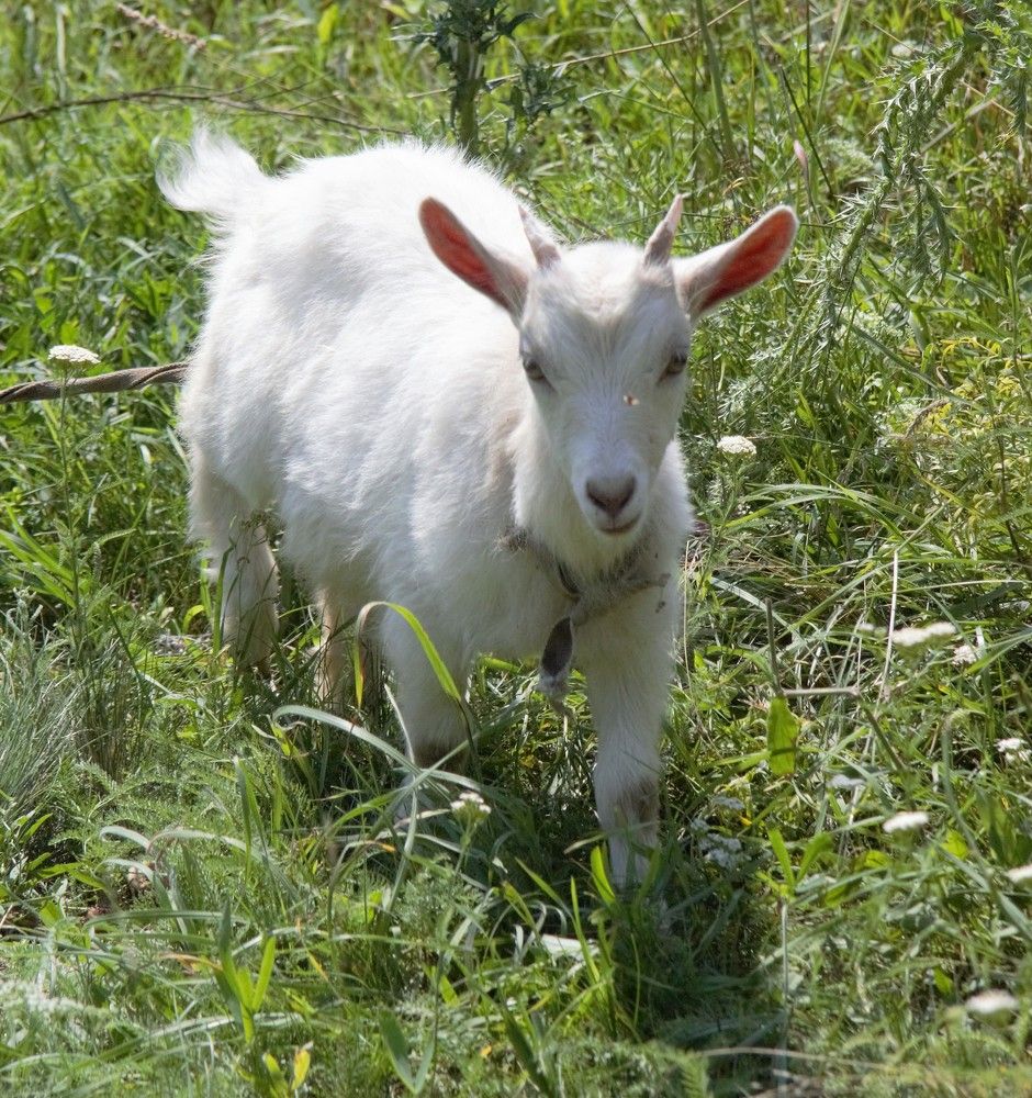 Photograph by Анна Авилочкина