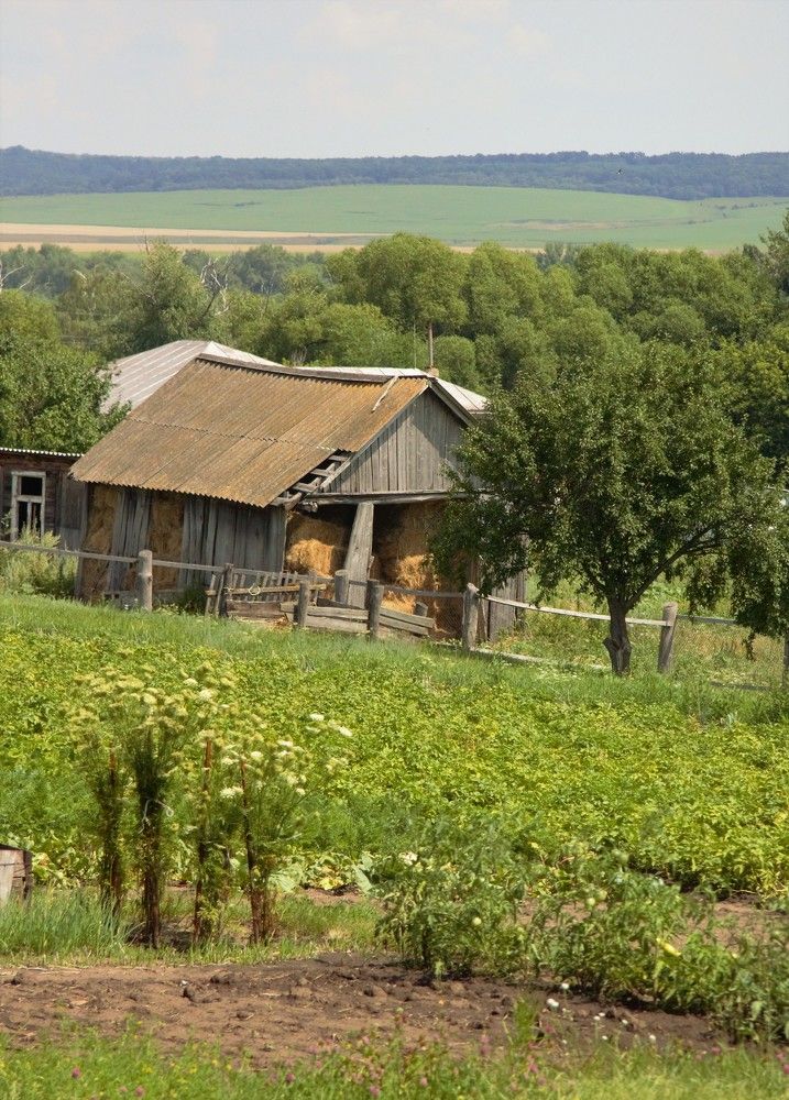 Photograph by Анна Авилочкина