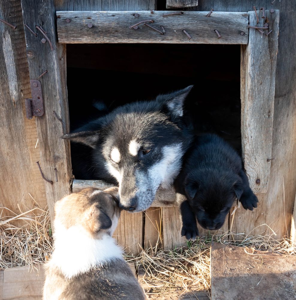 Фотография автора Яврова Татьяна