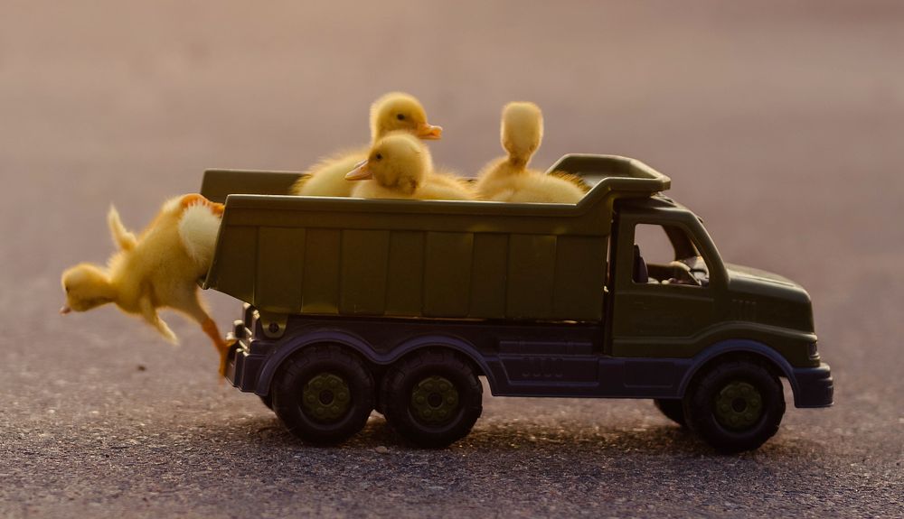 Photograph by Ирина Юрлова