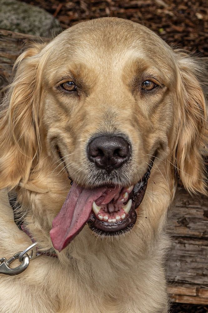 Photograph by Natalia Salivon