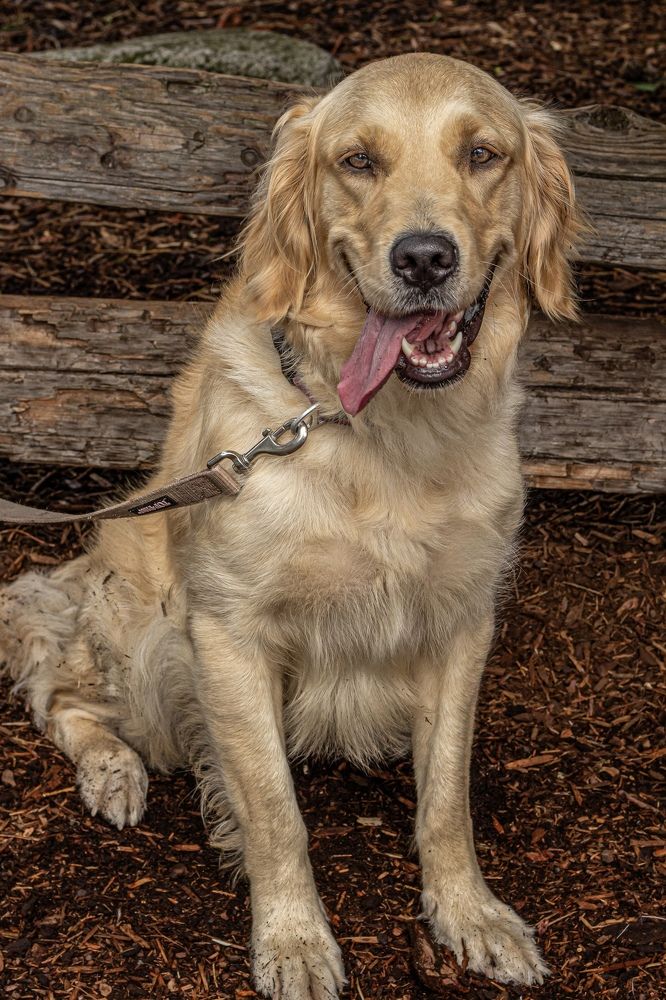 Photograph by Natalia Salivon