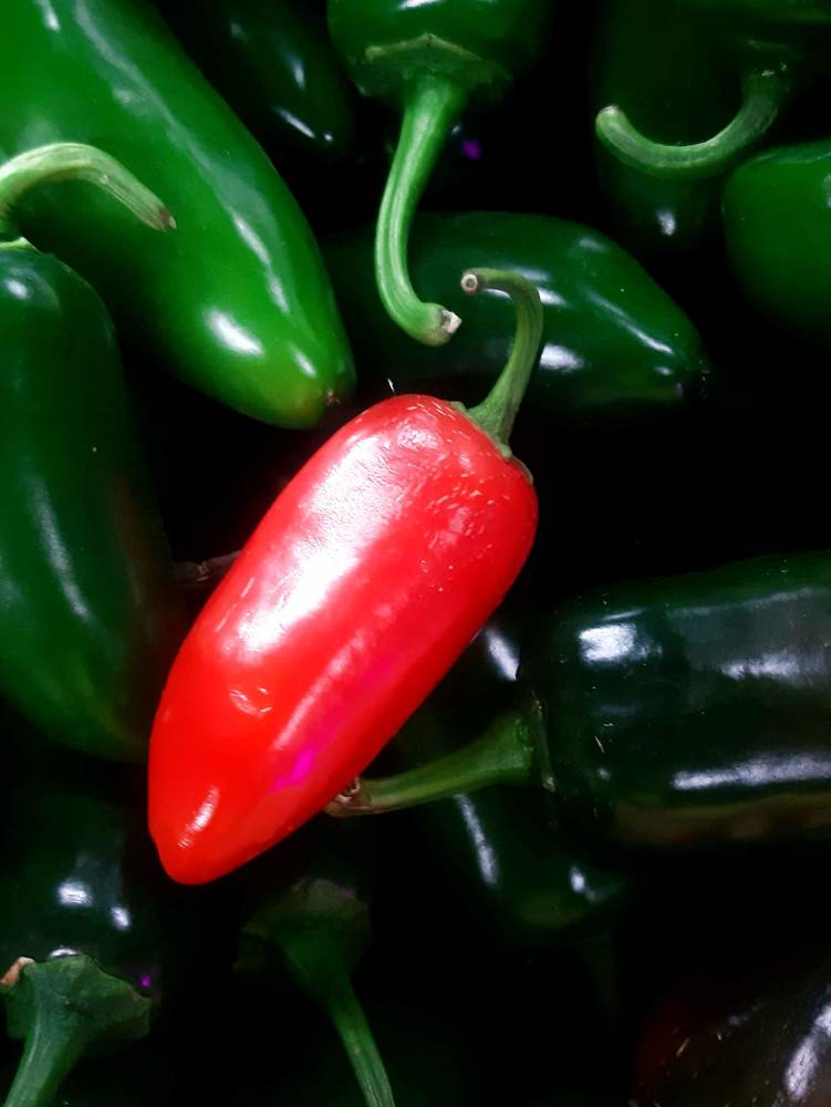 Photograph by Анна Авилочкина