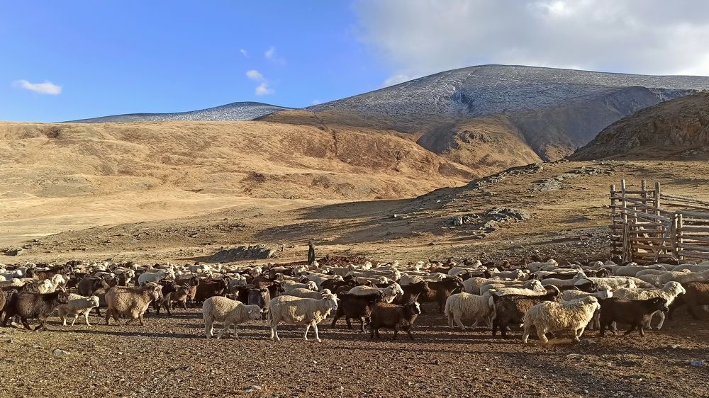 Photograph by Людмила Фурсова