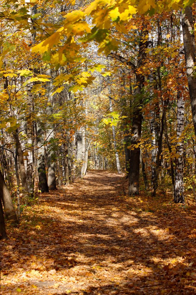 Photograph by Sergei Paramonov