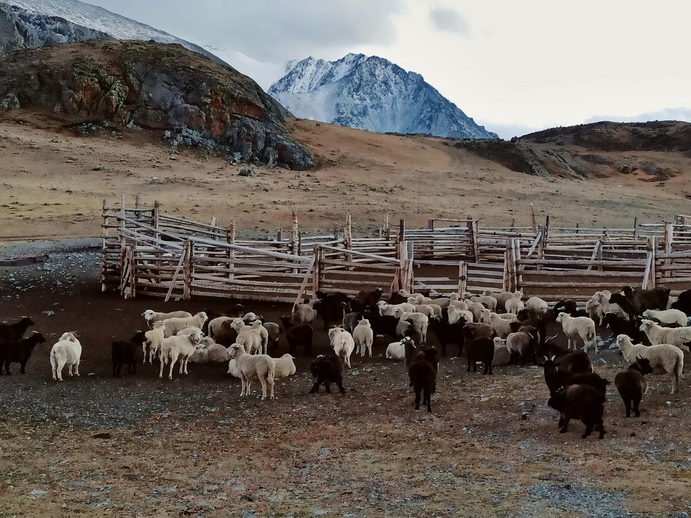 Photograph by Людмила Фурсова