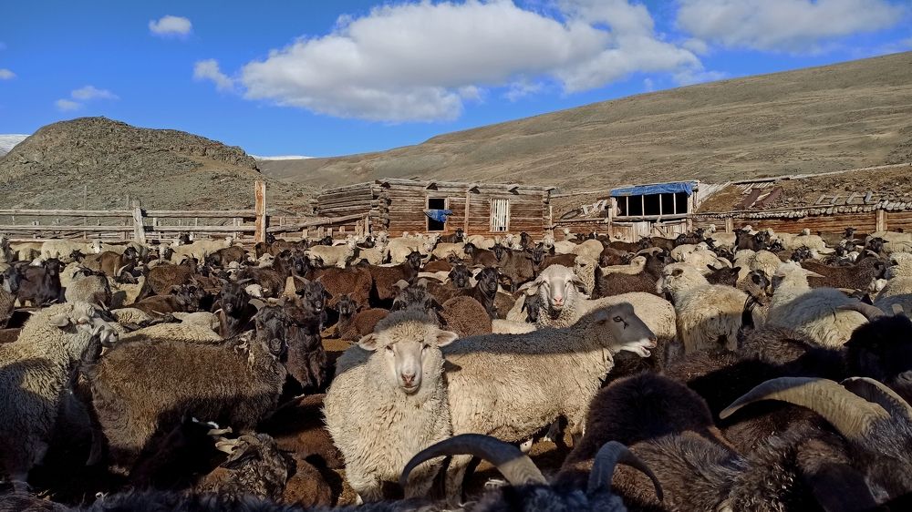 Photograph by Людмила Фурсова