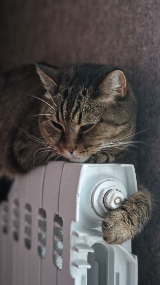 Photograph by Vera Vinogradova