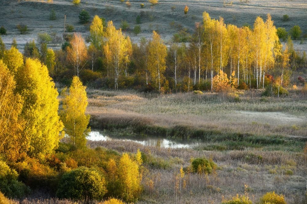 Photograph by Roman Dmitriev