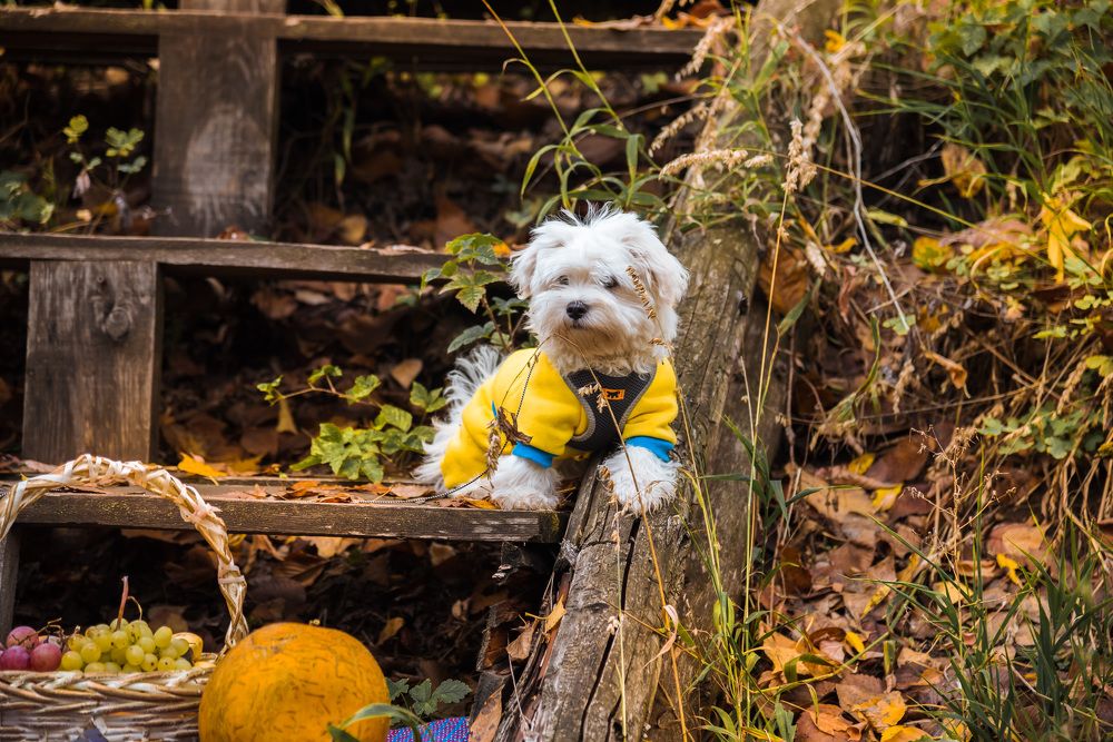 Photograph by Татьяна Биргулиева