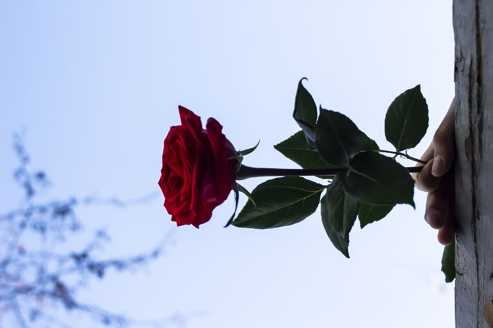 Photograph by Татьяна Шахматова