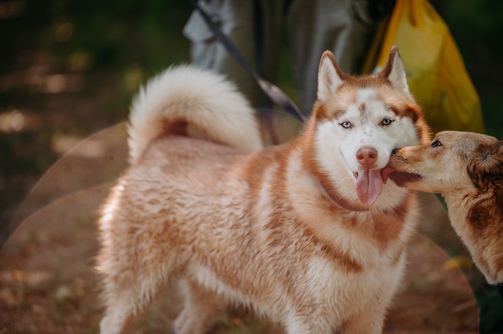 Photograph by Илья Максимов