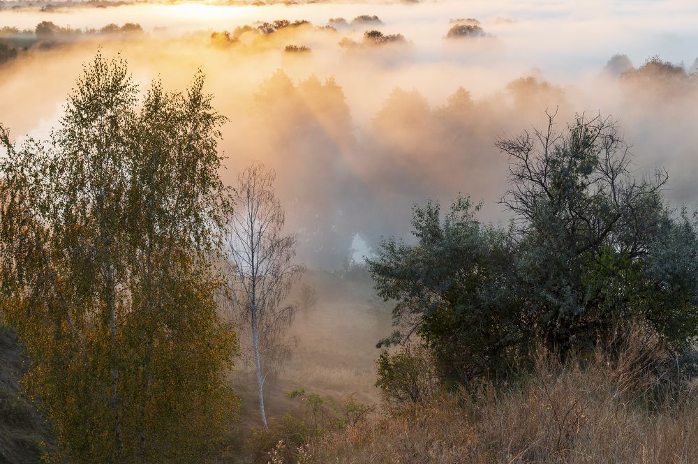Photograph by Дмитрий Новоселов