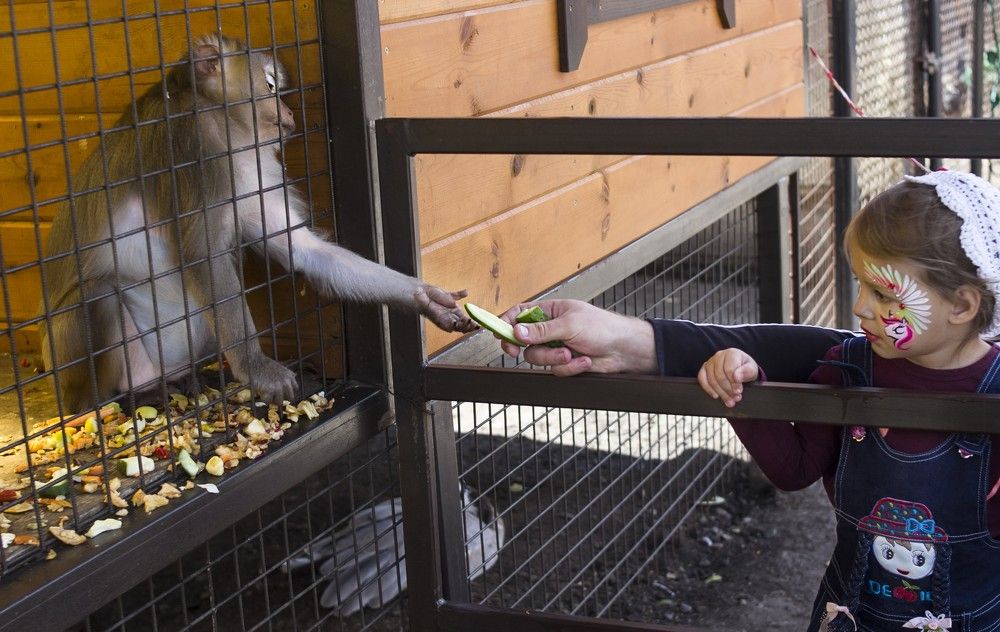 Photograph by Татьяна Шахматова