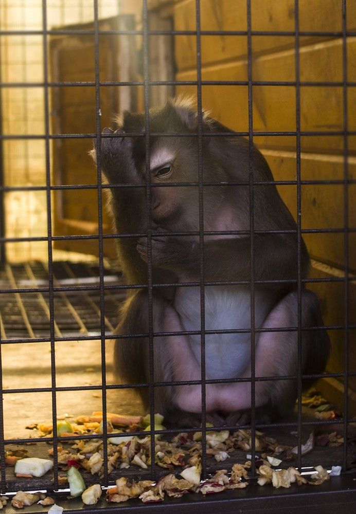 Photograph by Татьяна Шахматова