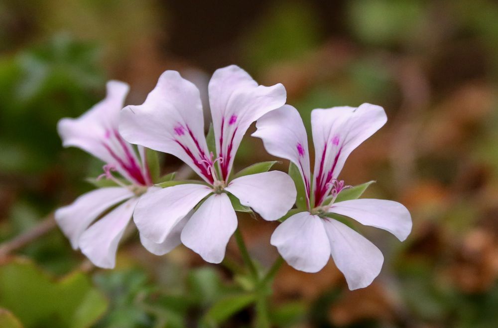 Фотография автора Дмитрий Климов
