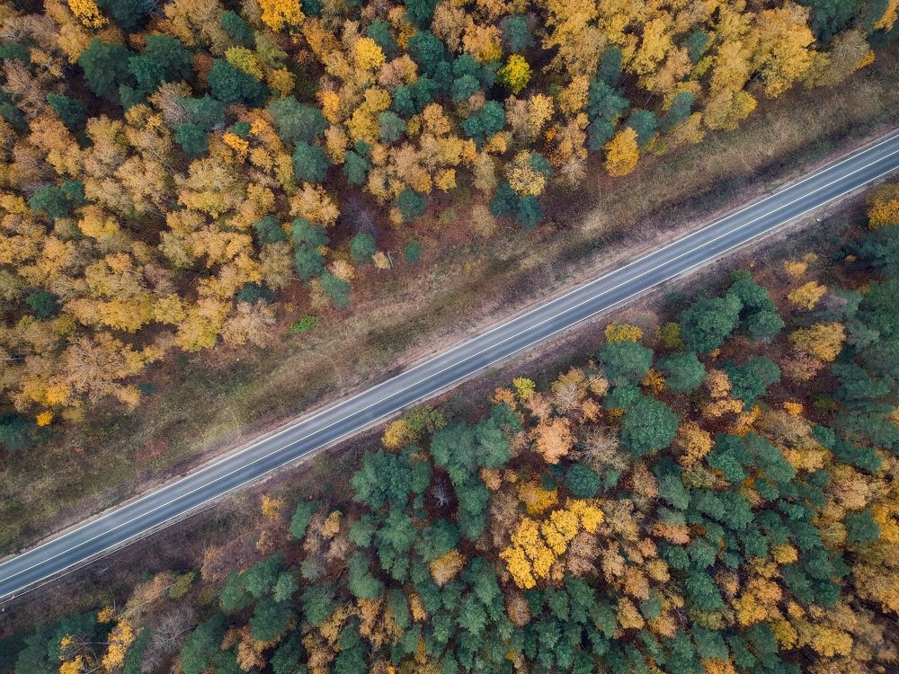 Photograph by Дорофеева Анна
