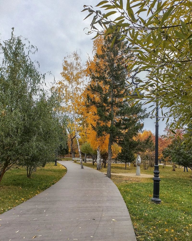 Дорога в осень