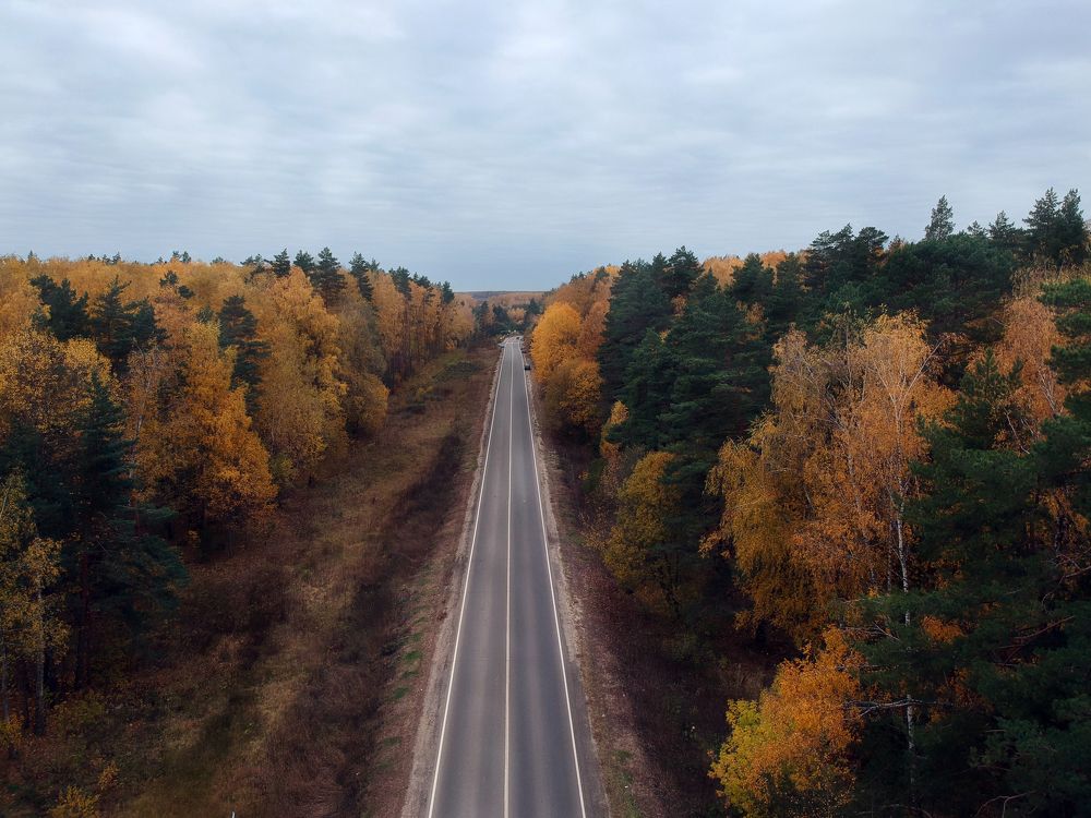 Photograph by Дорофеева Анна