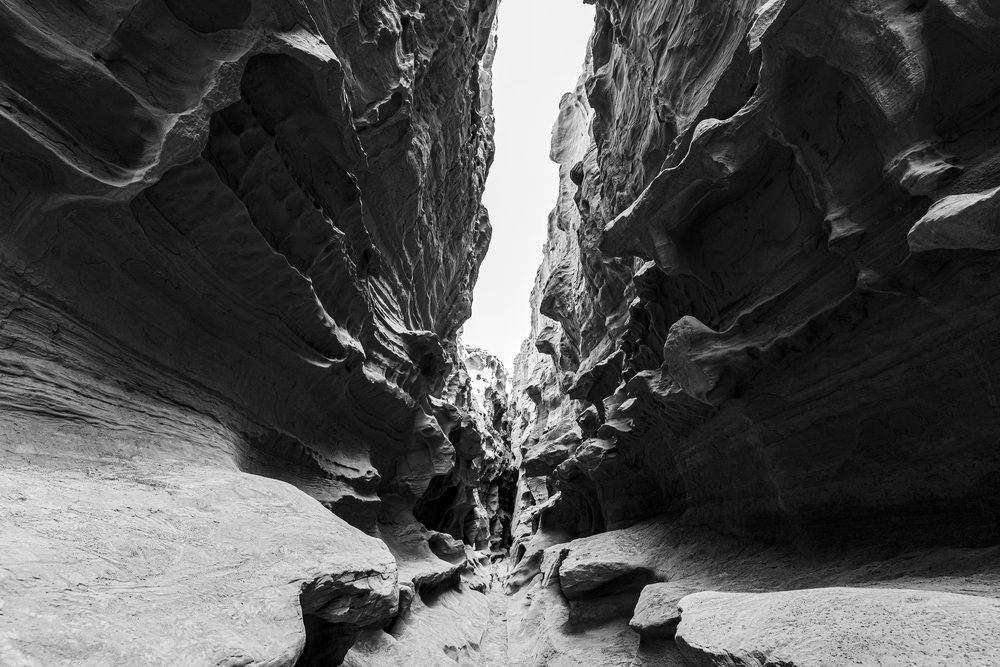 Фотография автора AliReza Shahbazi