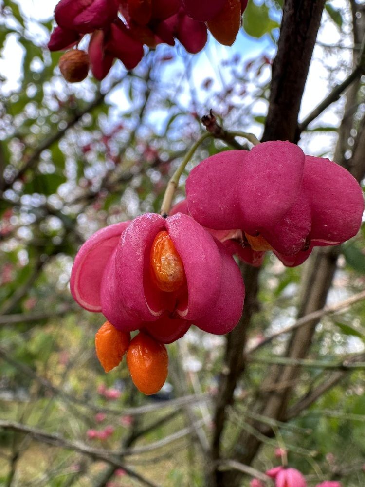 Photograph by Анастасия Лукьянюк