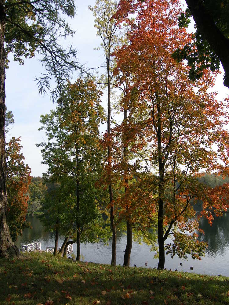 Photograph by Анна Курбатова