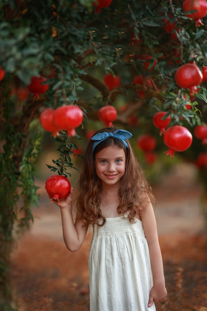 Photograph by zohar dotan