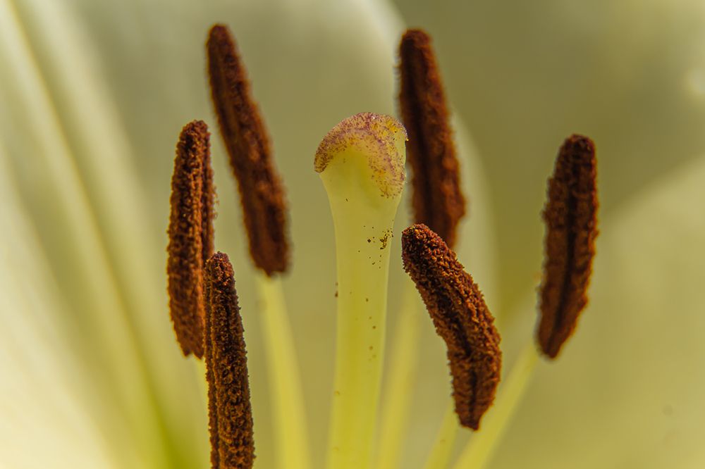 Photograph by Людмила Сливкина