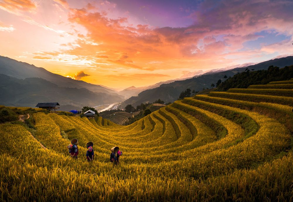 Photograph by Tran Phuong