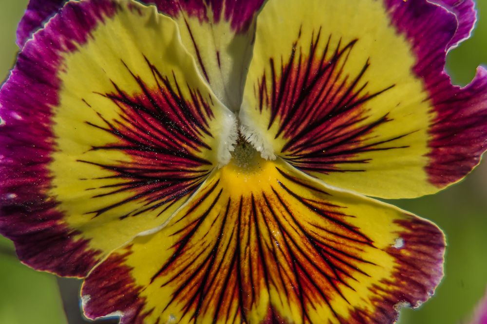 Photograph by Людмила Сливкина