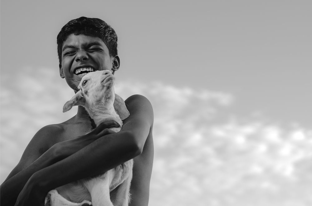 Photograph by Shihab